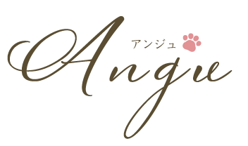 Angu